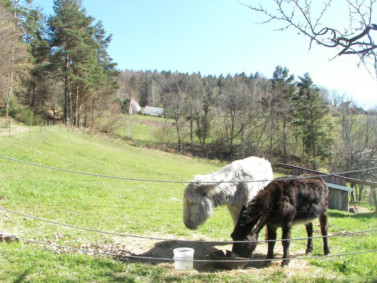 Hotel Au Vieux Moulin